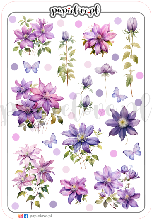 Clematis 1.png