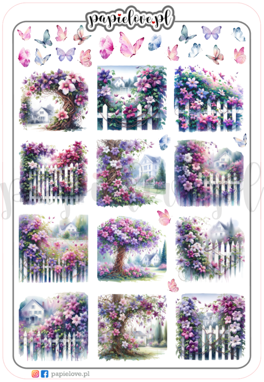 Clematis 2.png