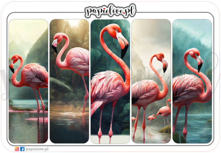 Flamingi 7.png