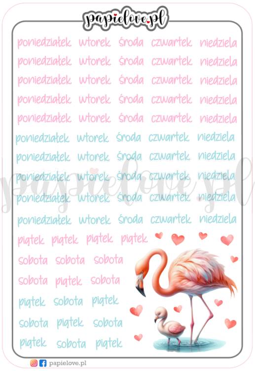 Dni tygodnia - Flamingi.png