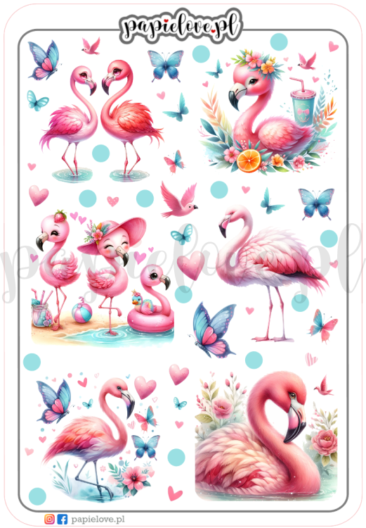 Flamingi 2.png