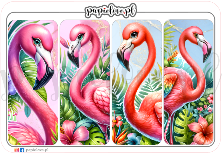Flamingi 5.png