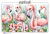 Flamingi 6.png