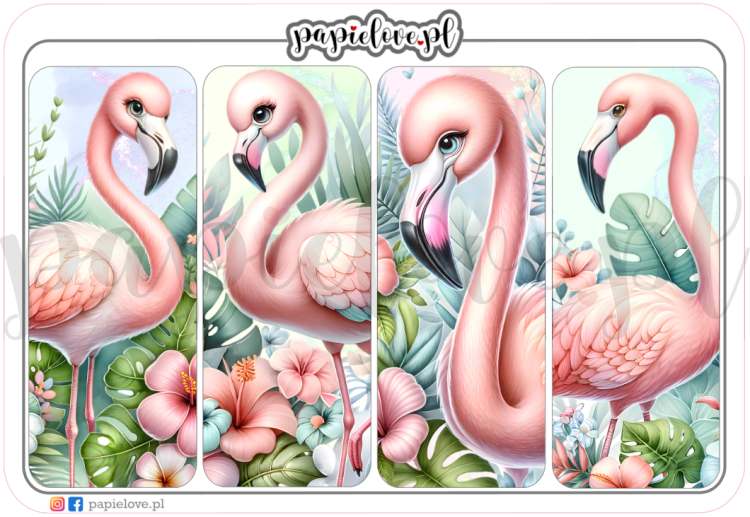 Flamingi 6.png