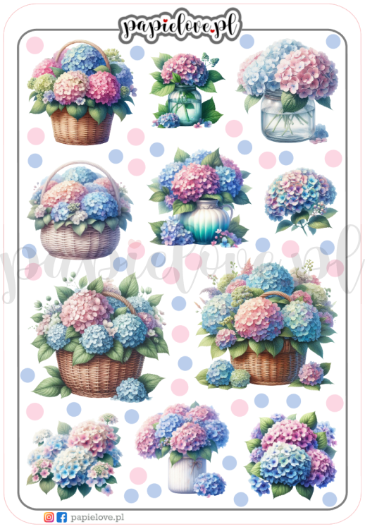 Hortensje 6.png
