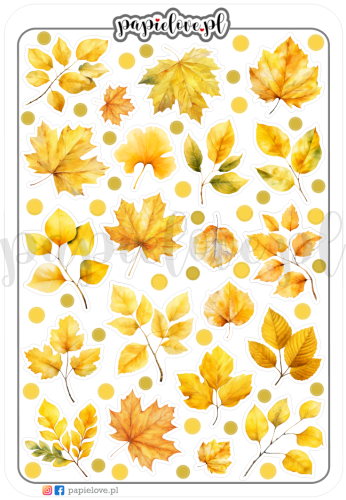 Jesienne liście 1.png