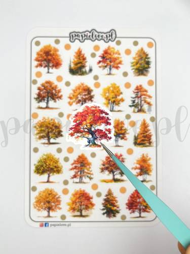 Jesienne drzewa foto detal.jpg