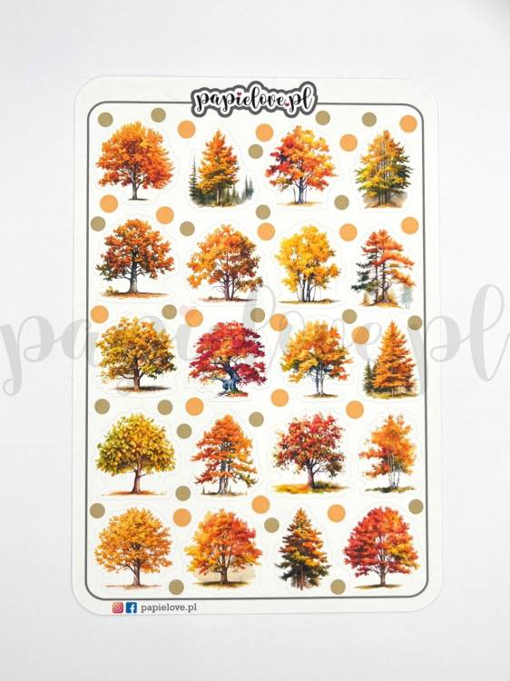 Jesienne drzewa foto.jpg