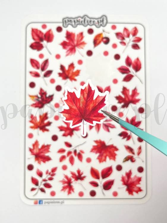 Jesienne liście 3 foto detal.jpg