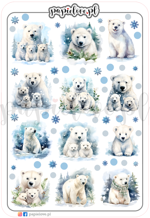 Miś polarny 2.png