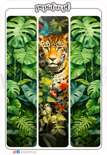 Dzikie Zwierzęta 3.png