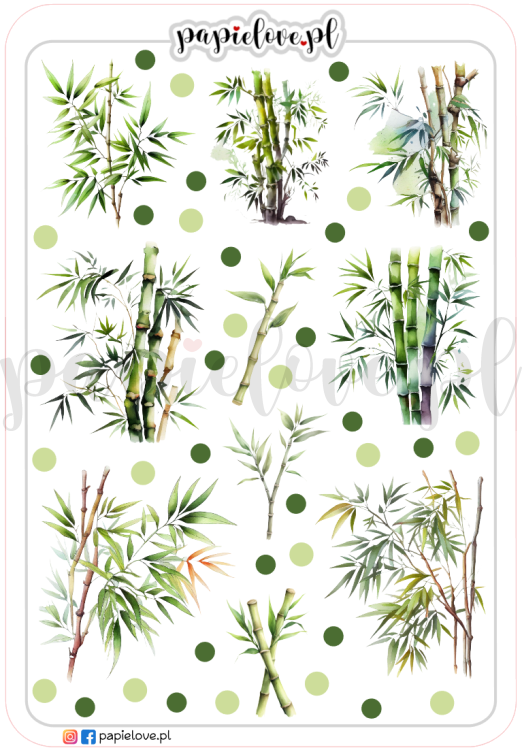 Drzewa bambusowe 2.png
