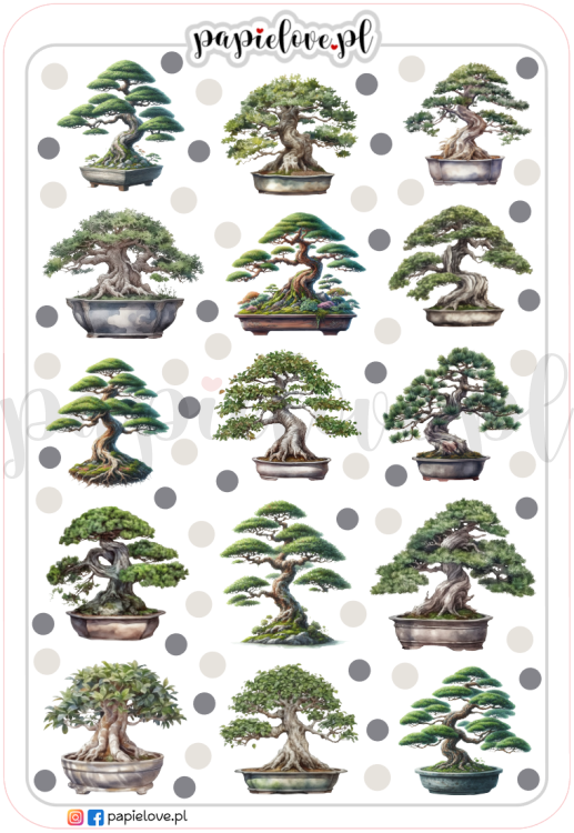 Bonsai 3.png