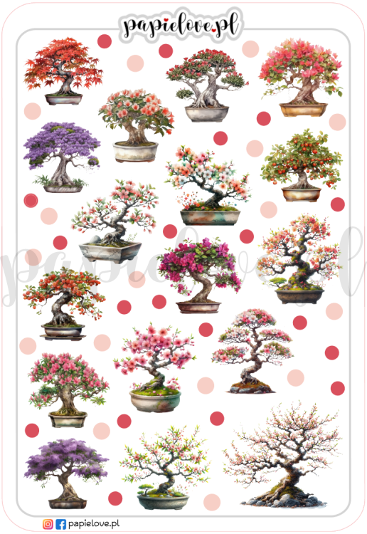 Bonsai 1.png
