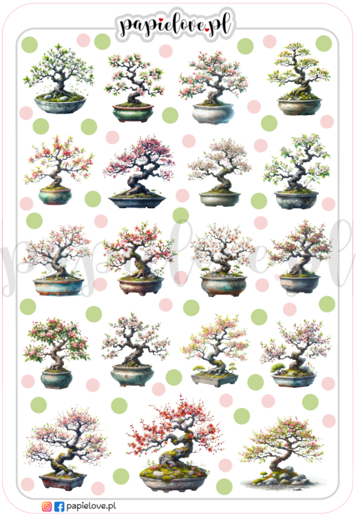 Bonsai 2.png