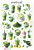 Matcha.png