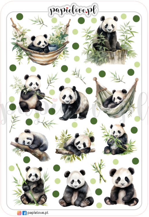 Panda 3.png
