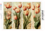 Tulipany 7.png