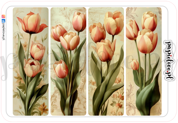 Tulipany 7.png