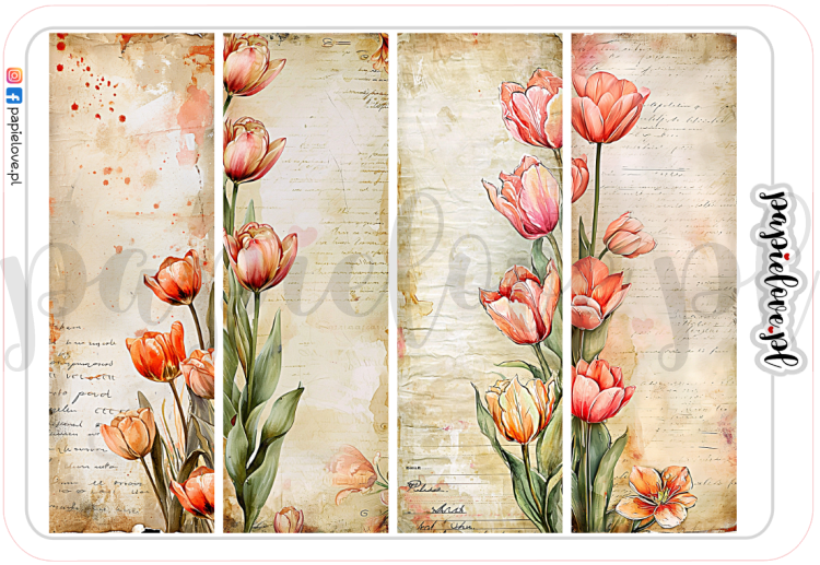 Tulipany 8.png