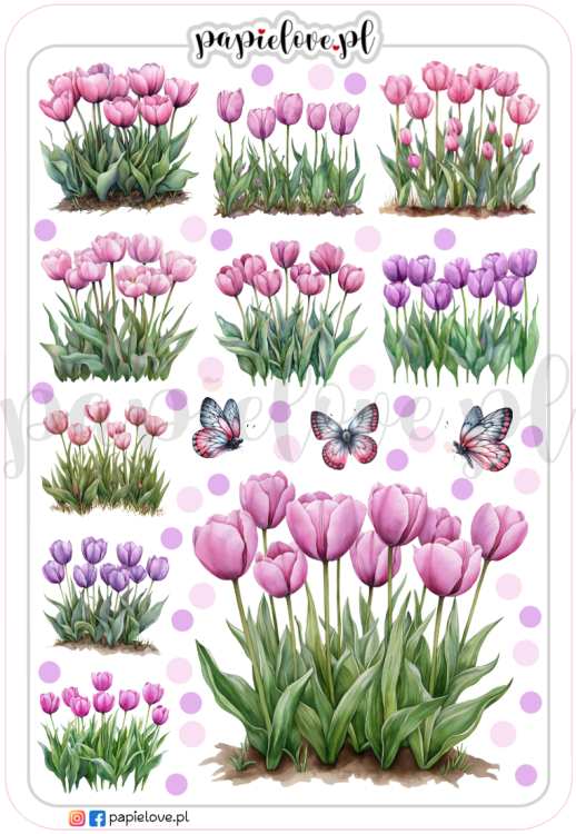 Tulipany fioletowe.png