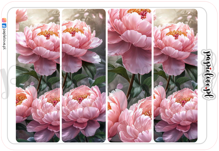 Peonie 3.png