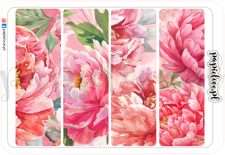 Peonie 5.png