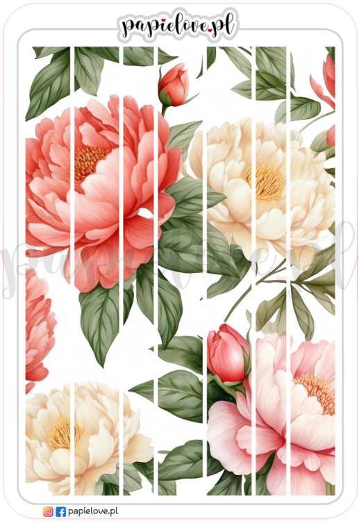 Bordery - Peonie 1.png