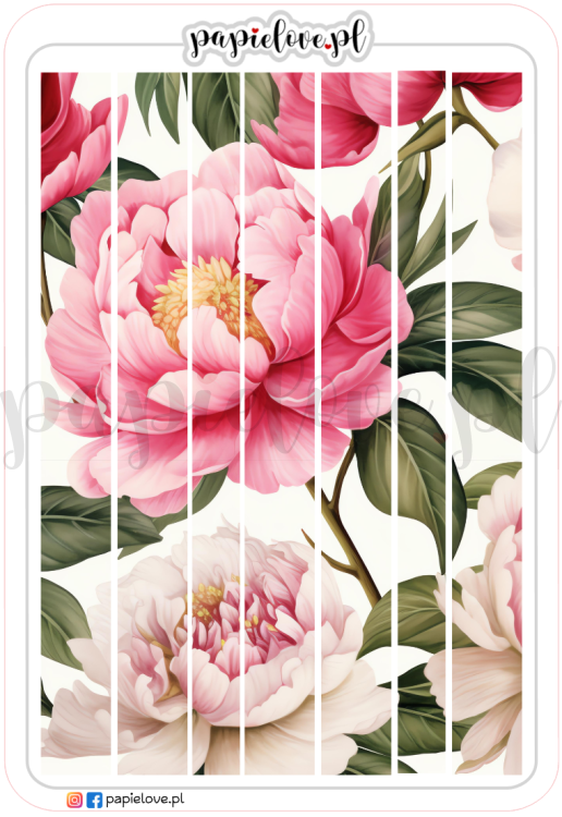 Bordery - Peonie 2.png