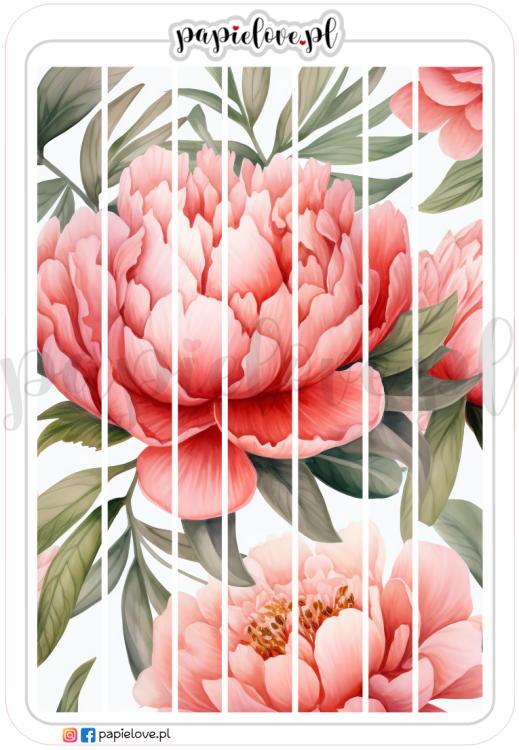 Bordery - Peonie 4.png