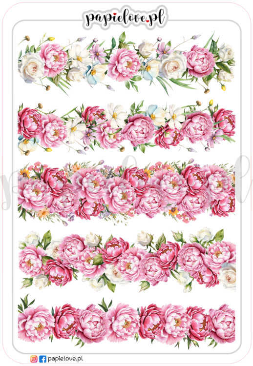 Bordery - Peonie 5.png