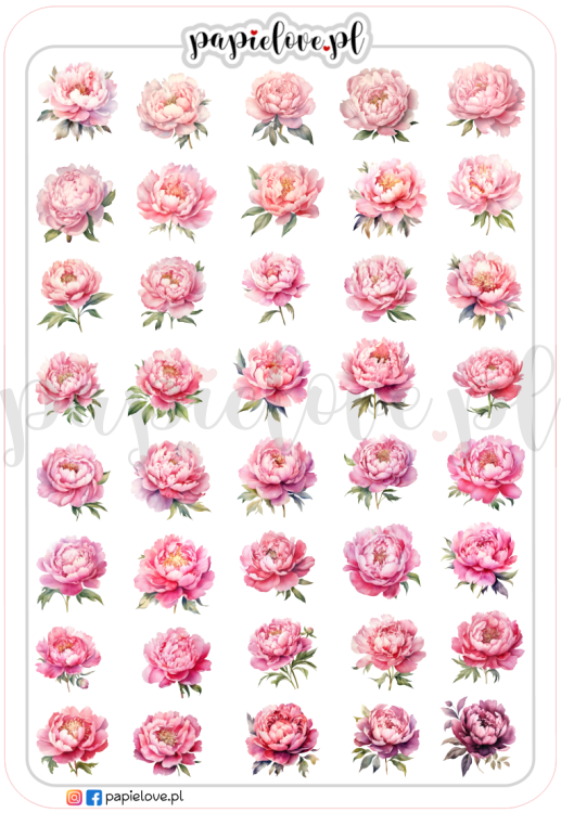 Peonie - Ikonki.png