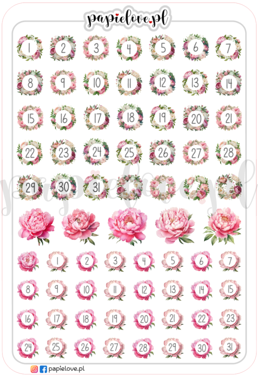 Cyferki - Peonie.png