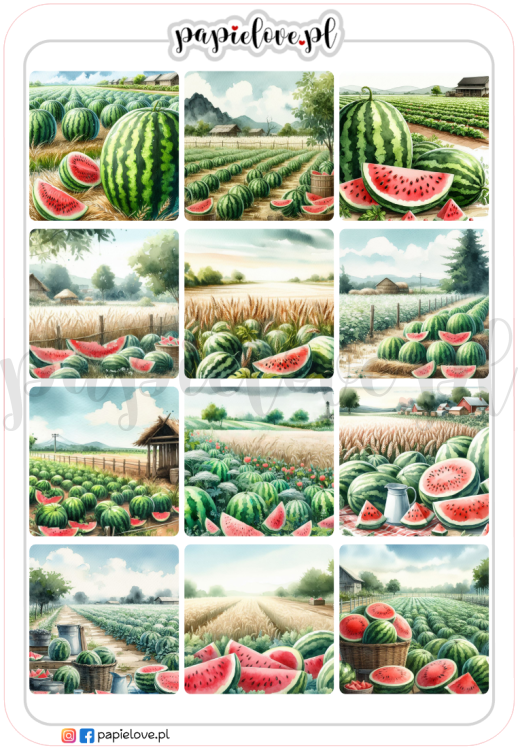 Arbuzy 5.png