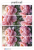 Peonie 3.png