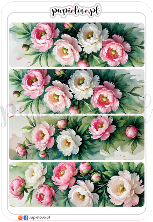 Peonie 2.png