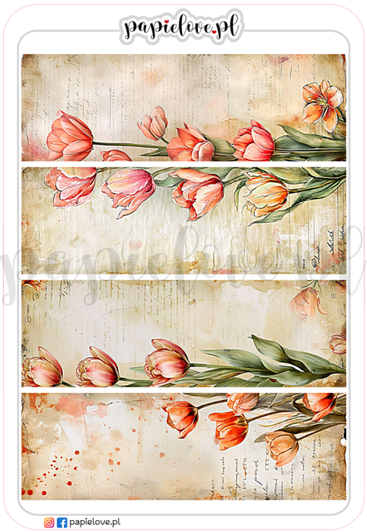 Tulipany 8.png