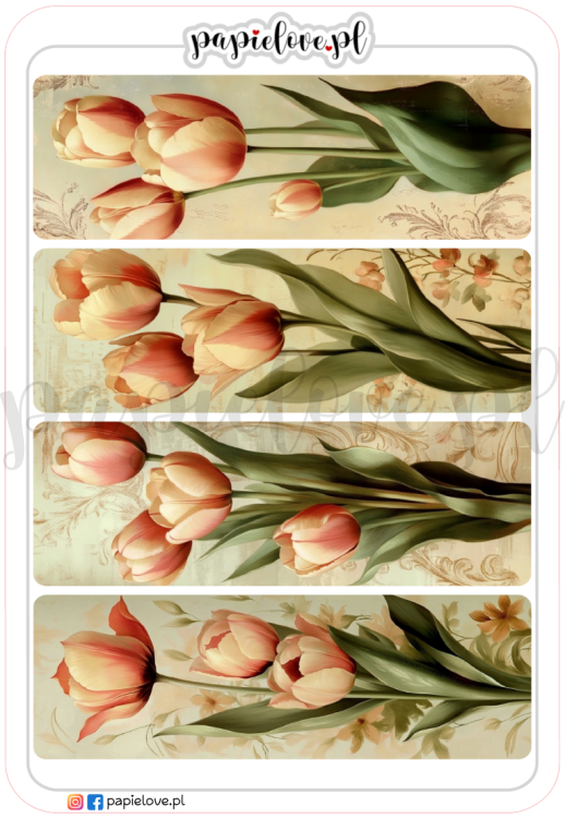 Tulipany 7.png