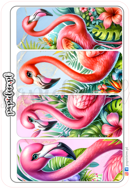 Flamingi 5.png