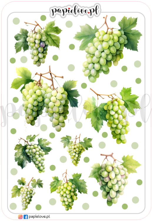 Winogrona 2.png