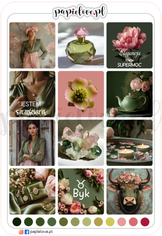 Byk 2.png