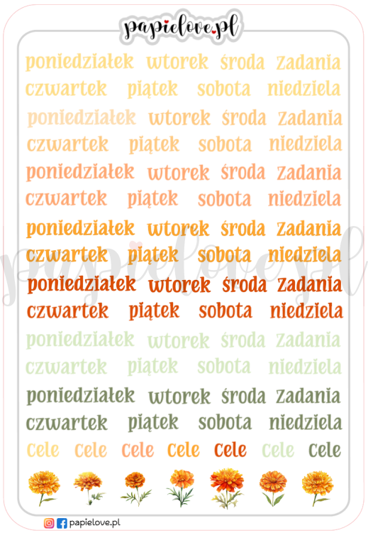 Aksamitki - Dni tygodnia.png