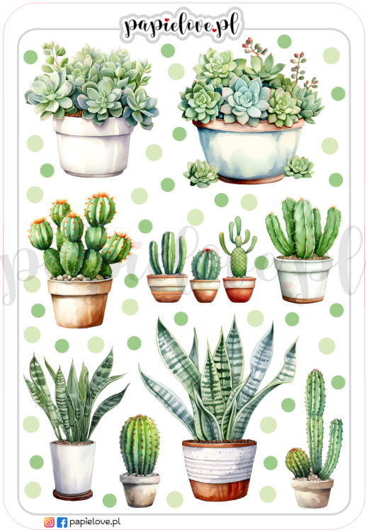 Naklejki Rośliny domowe 12.png