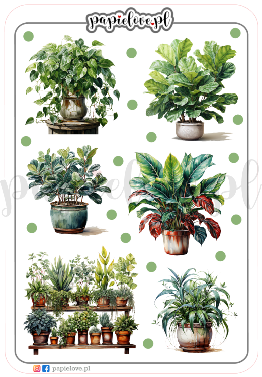 Rośliny domowe 2.png