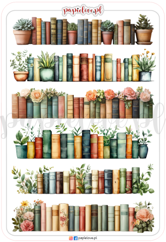 Półki z książkami 2.png