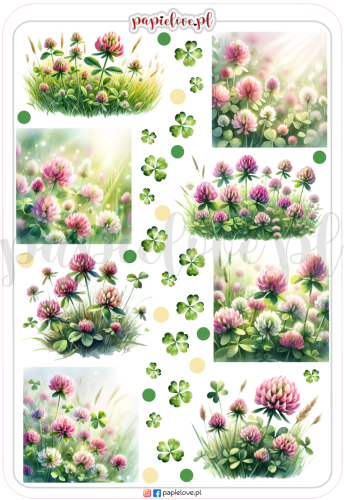 Naklejki - Koniczyna 2.png