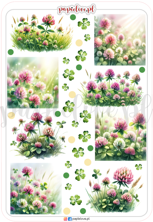 Naklejki - Koniczyna 2.png