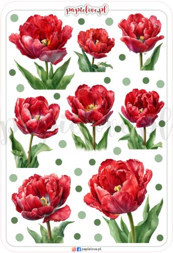 Naklejki - Tulipany czerwone.png