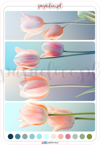 Naklejki - Tulipany 9.png