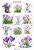 Naklejki - Krokusy 7.png